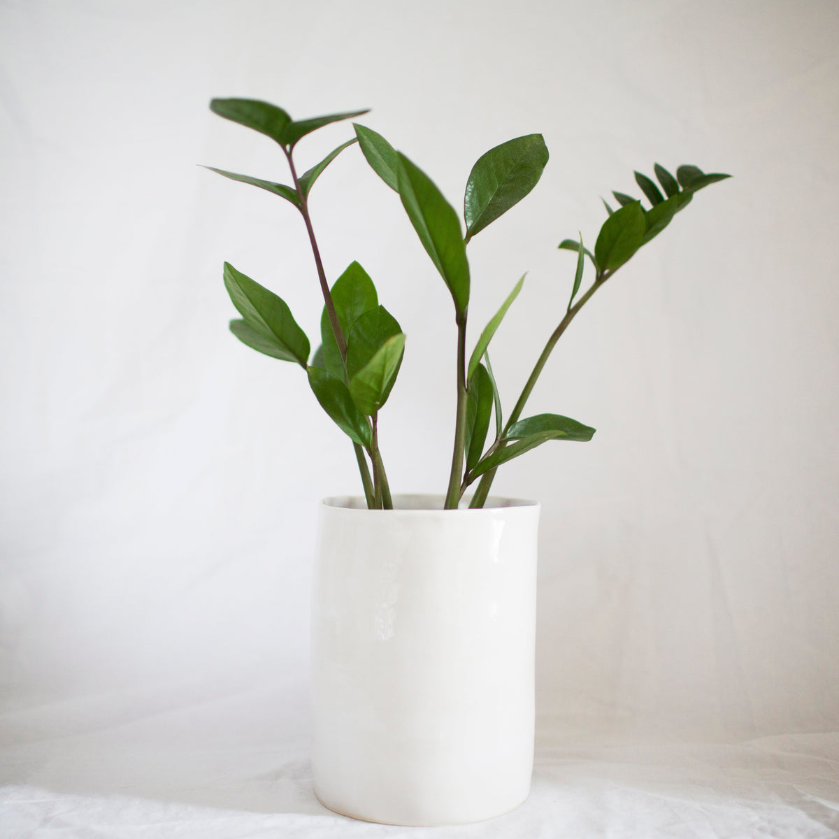 planters – b ceramics
