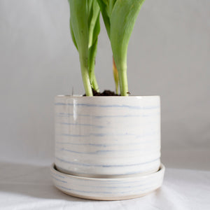 planter with blue lines